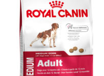 Súťažte o 6 kusov kvalitného krmiva pre psy a mačky Royal Canin