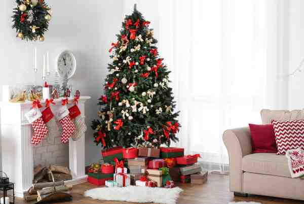 Hľadáme najkrajší vianočný stromček!