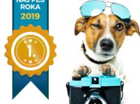 Súťaž Naj pes roka 2019 Premium Dog