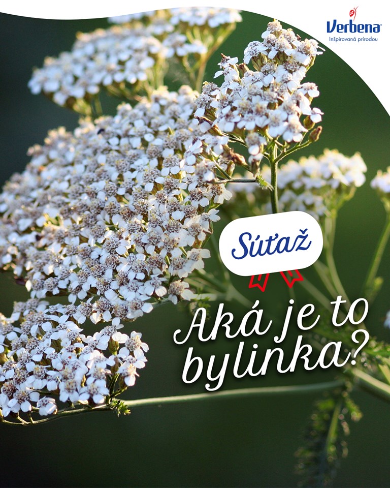 Súťaž Verbena o sladkú odmenu