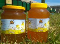 Súťaž o repkové medy od Včelia farma BeeHouse