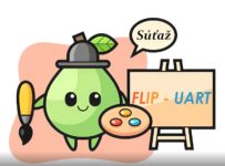 Súťaž o portrét 40x50 - FLIP – UART v hodnote 50€