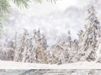 Vyhrajte jeden z 20 adventných kalendárov NIVEA