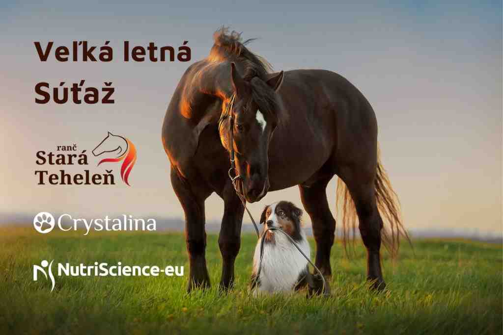 Veľká letná Nutriscience-eu