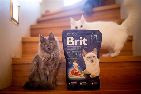 Súťaž o balíčky krmiva Brit Premium by Nature