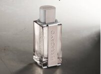 Salvatore Ferragamo Ferragamo Bright Leather 30 ml