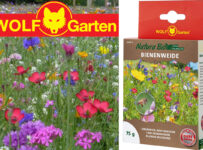 Súťaž o osivo kvetín a hnojivo Wolf-Garten