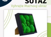 Súťaž o luxusný Machový obraz od Wood & Moss