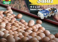 Súťaž o 50 kusov vajíčok z Ovogal farm