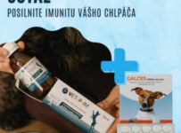 Súťaž o sirup na podporu imunity a vitality VET-P-IM