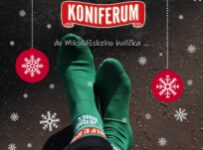 Súťaž o štýlové ponožky Koniferum