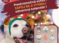 Súťaž o zvierací adventný kalendár