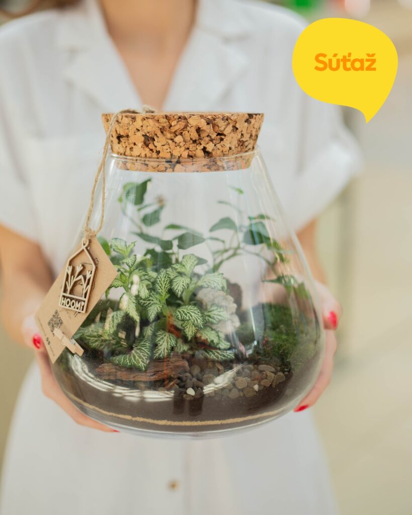 Súťaž o zelené terárium od Hoomi