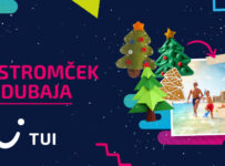 Vymeň stromček za palmu