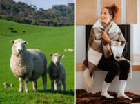 Vyhrajte poukážku v hodnote 30 eur na nákup na e-shope oveckaren.sk